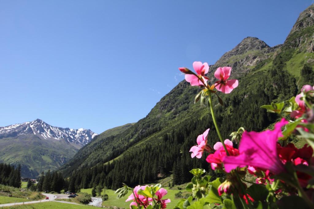 Haus Elisabeth Hotell Sankt Leonhard im Pitztal Rum bild